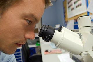 Zespół Cushinga Objawy Diagnostyka Leczenie Wp Abczdrowie
