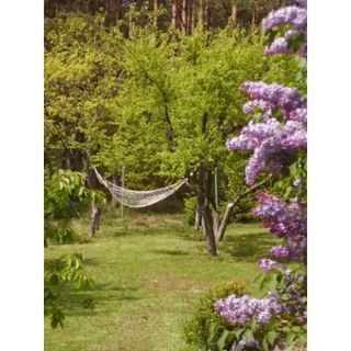 Dom letniskowy w Lewinku (2)