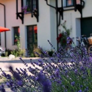 Szwajcaria Mazurska. Noclegi || Wyżywienie (3)