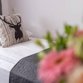 Stasikowa Ostoja Bukowina Tatrzańska (4)