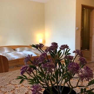 Apartamenty i pokoje "U Marianny" Bukowina Tatrzańska (4)