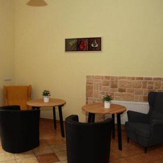 Willa Larysa Agro Wisła (4)