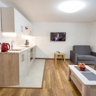 Apartamenty Krystyna Wisła  (3)