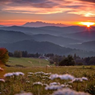 Dom Wczasowy Stalownik Gródek Nad Dunajcem (2)