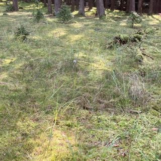 Pokoje Przy Warszawskiej Połczyn-Zdrój (5)