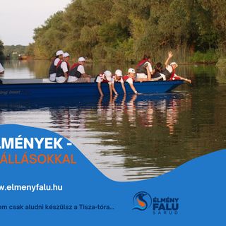 Kis kócsag PihenőPorta Sarud (2)