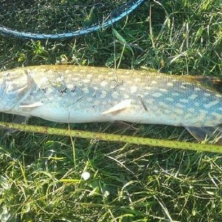 Agroturystyka nad Jeziorem Piecki (5)