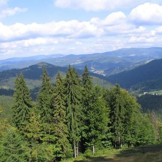 Apartament na Wzgórzu Wisła (4)