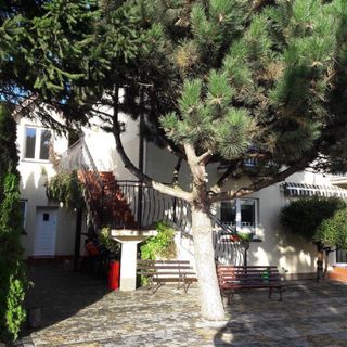 Dom Gościnny Albatros II Rewal (4)