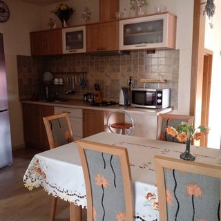 Pod Modrzewiami Milówka (3)