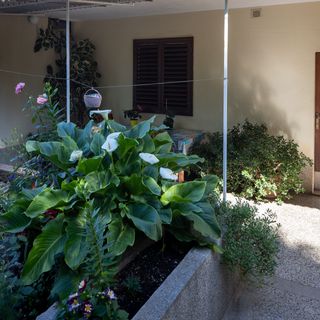 Szobák Magán Parkolóhellyel Stari Grad, Hvar - 14831 Stari Grad (5)