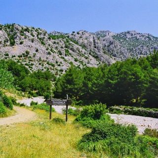 Apartment Tomić Seline (3)