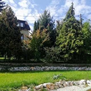 Marika Vendégház Miskolctapolca (4)