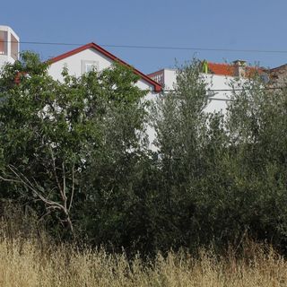 Nyaralóház Internet Hozzáféréssel Kukljica, Ugljan - 8251 Kukljica (4)