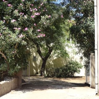 Nyaralóház A Tenger Mellett Drace, Peljesac - 13117 Drače (3)