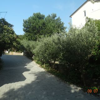 Apartmani Karla Crikvenica (3)