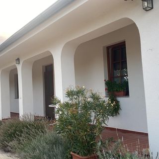 Diófa Apartmanház Öntésmajor (4)