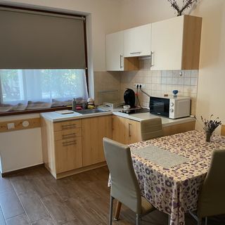 Diófa Apartmanház Öntésmajor (5)