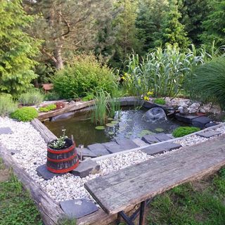 Napfény Camping Taliándörögd (4)