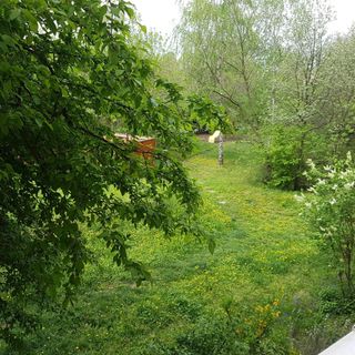 Csendes Apartman Szolnok (5)