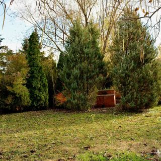 Halászsas PihenőPorta Sarud (3)