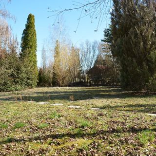 Halászsas PihenőPorta Sarud (4)