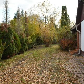 Halászsas PihenőPorta Sarud (5)