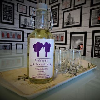 Erdőszéli Apartman Hajdúszoboszló (5)