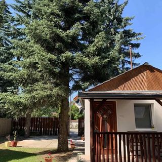 Crystal Apartman Nyíregyháza (5)