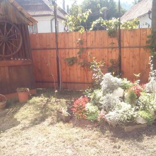 Casa de oaspeţi Annamaria Praid (4)