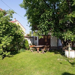 Apartament Walnut 2 Sibiu (4)