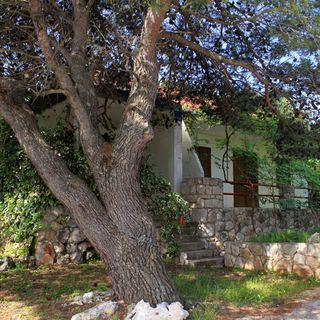 Apartmanok A Tenger Mellett Mudri Dolac, Hvar - 118 Mudri Dolac (4)