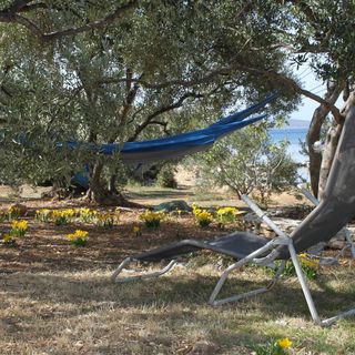 Ház Gyermekes Családok Részére A Tenger Mellett Öböl Kobiljak Pasman - 320 (5)