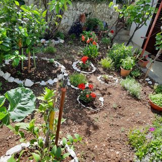 Apartmanok A Tenger Mellett Businci, Ciovo - 1081 Bušinci (4)