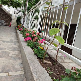 Apartmanok A Tenger Mellett Podaca, Makarska - 2576 Podaca (5)