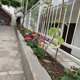 Apartmanok A Tenger Mellett Podaca Makarska - 2576 (5)