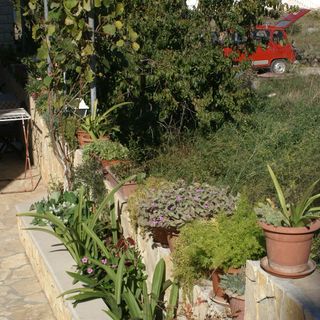 Apartmanok Parkolóhellyel Mirca, Brac - 2838 Mirca (5)