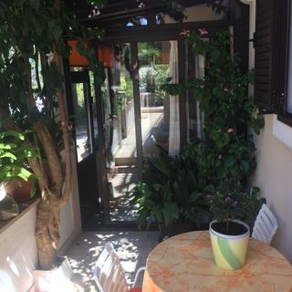 Apartmanok A Tenger Mellett Mirca, Brac - 2886 Mirca (3)