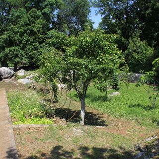 Apartmanok Parkolóhellyel Opric, Opátia - Opatija - 7715 Oprič (5)