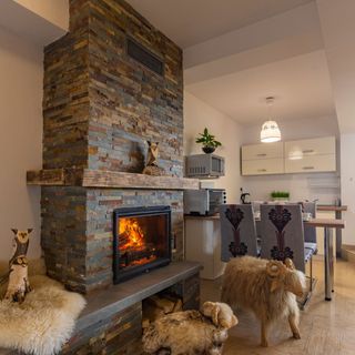 Domki i Apartamenty Tybet Bukowina Tatrzańska (5)