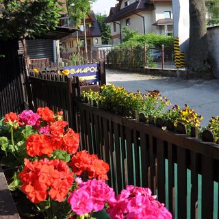 Domapol Zakopane (5)