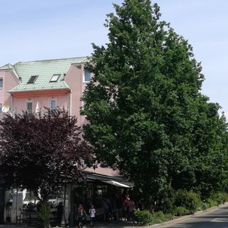 Niki Apartman Hévíz (2)