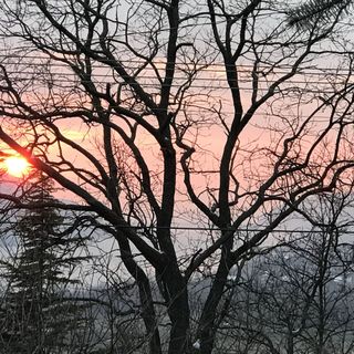 Orchidea Vendégház Zebegény (5)