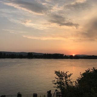 Orchidea Vendégház Zebegény (2)