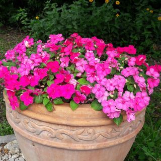 Lehel Apartman Miskolc (4)