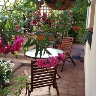 Häuschen Viktória Zamárdi (3)