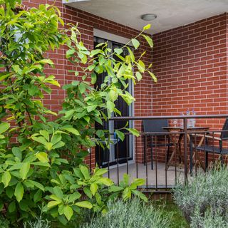 Spirit of Hévíz Apartment (5)