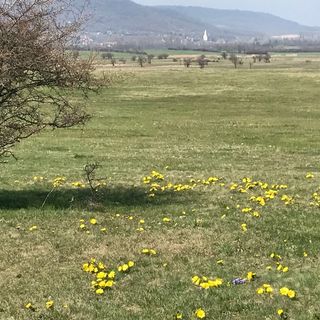 Gólyásház Apartman Kővágóörs (2)