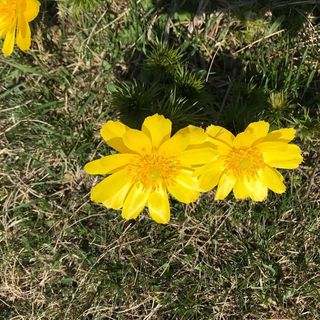 Gólyásház Apartman Kővágóörs (3)