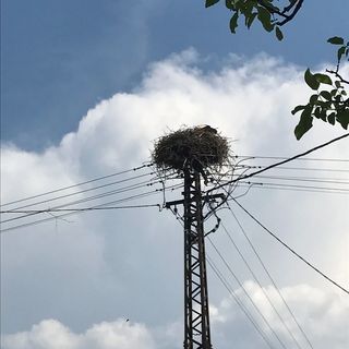 Gólyásház Apartman Kővágóörs (4)